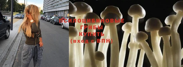 ГАЛЛЮЦИНОГЕННЫЕ ГРИБЫ Беломорск