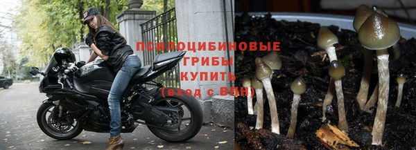 apvp Белокуриха