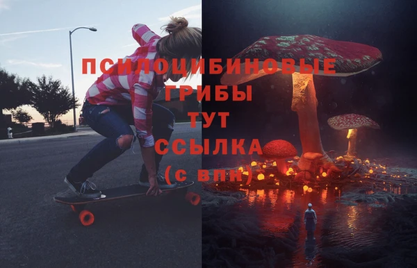ГАЛЛЮЦИНОГЕННЫЕ ГРИБЫ Беломорск