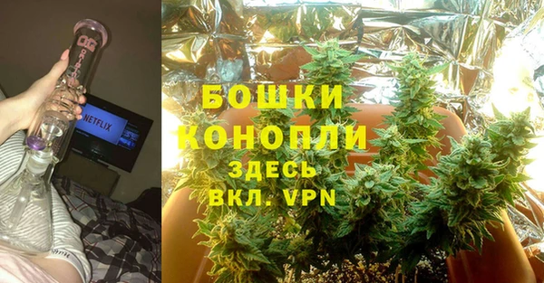 apvp Белокуриха