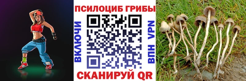 наркотики  Шиханы  Галлюциногенные грибы MAGIC MUSHROOMS 